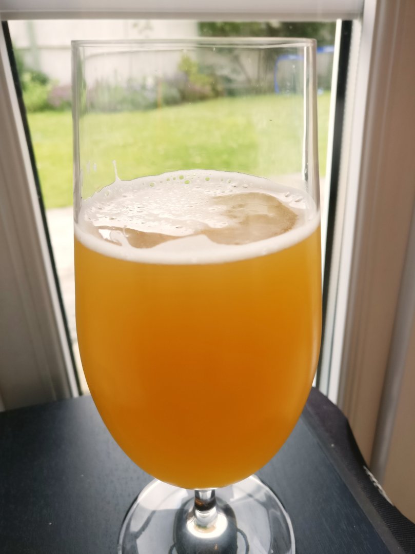 beer recipe photo