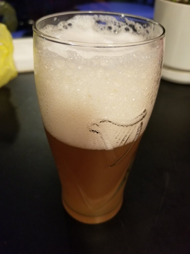 beer recipe photo