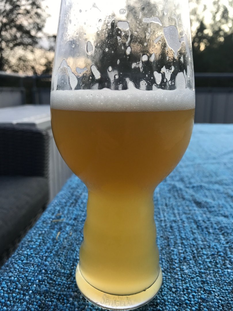 beer recipe photo