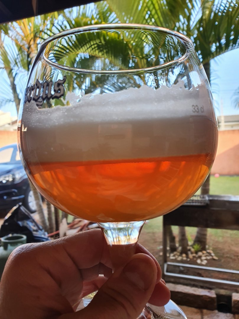 Strong Belgian Ale Belgian Blond Ale Beer Recipes Brewer's Friend