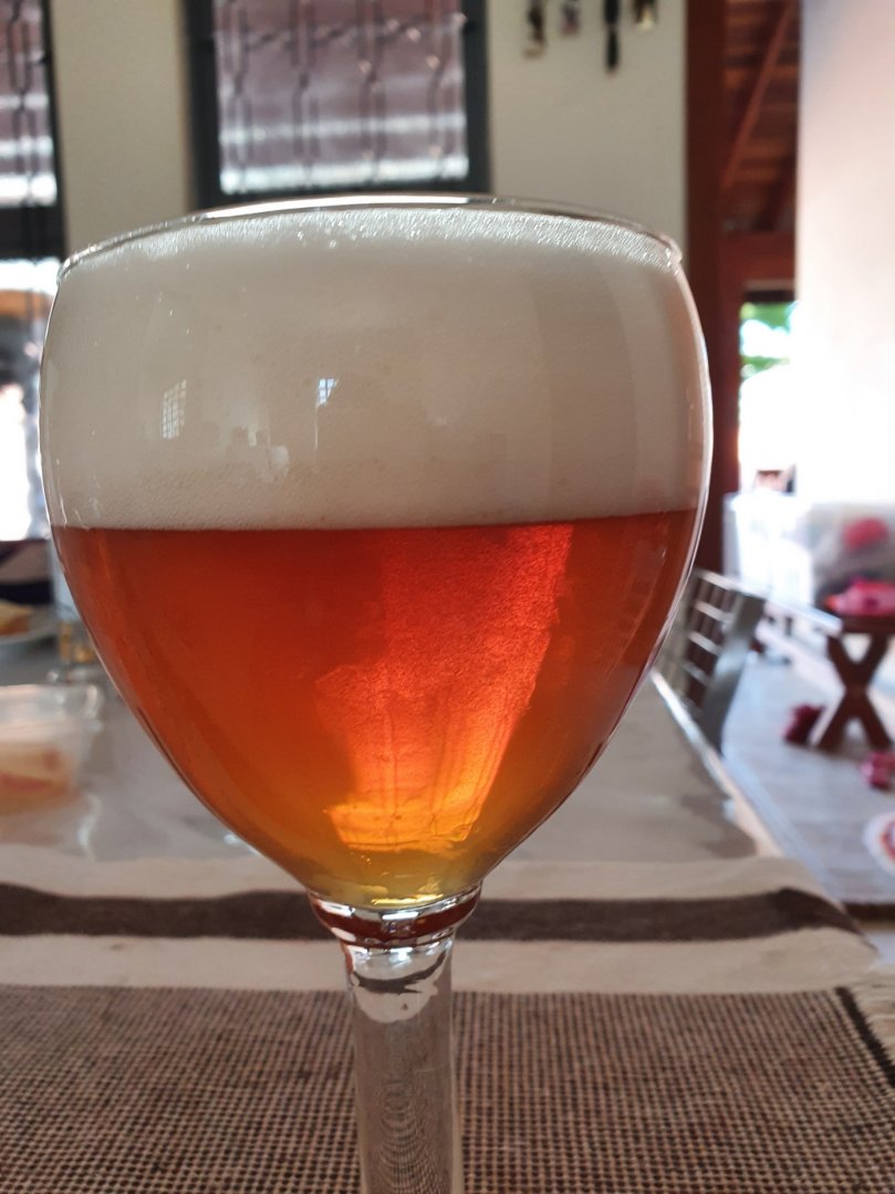 Strong Belgian Ale Belgian Blond Ale Beer Recipes Brewer's Friend