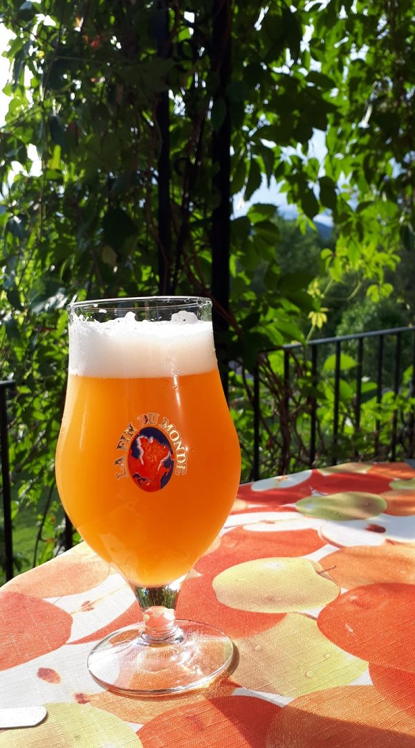 beer recipe photo