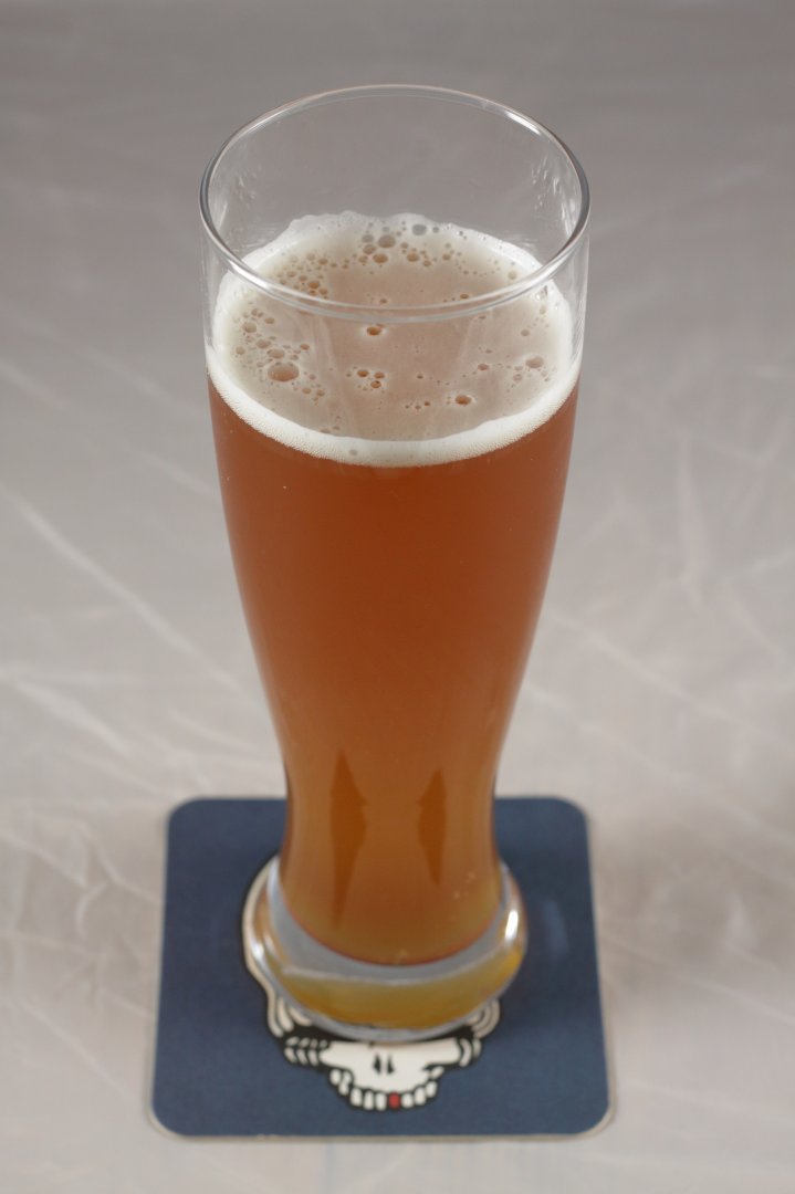 beer recipe photo