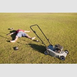 Lawn-mower-lite-label.jpg