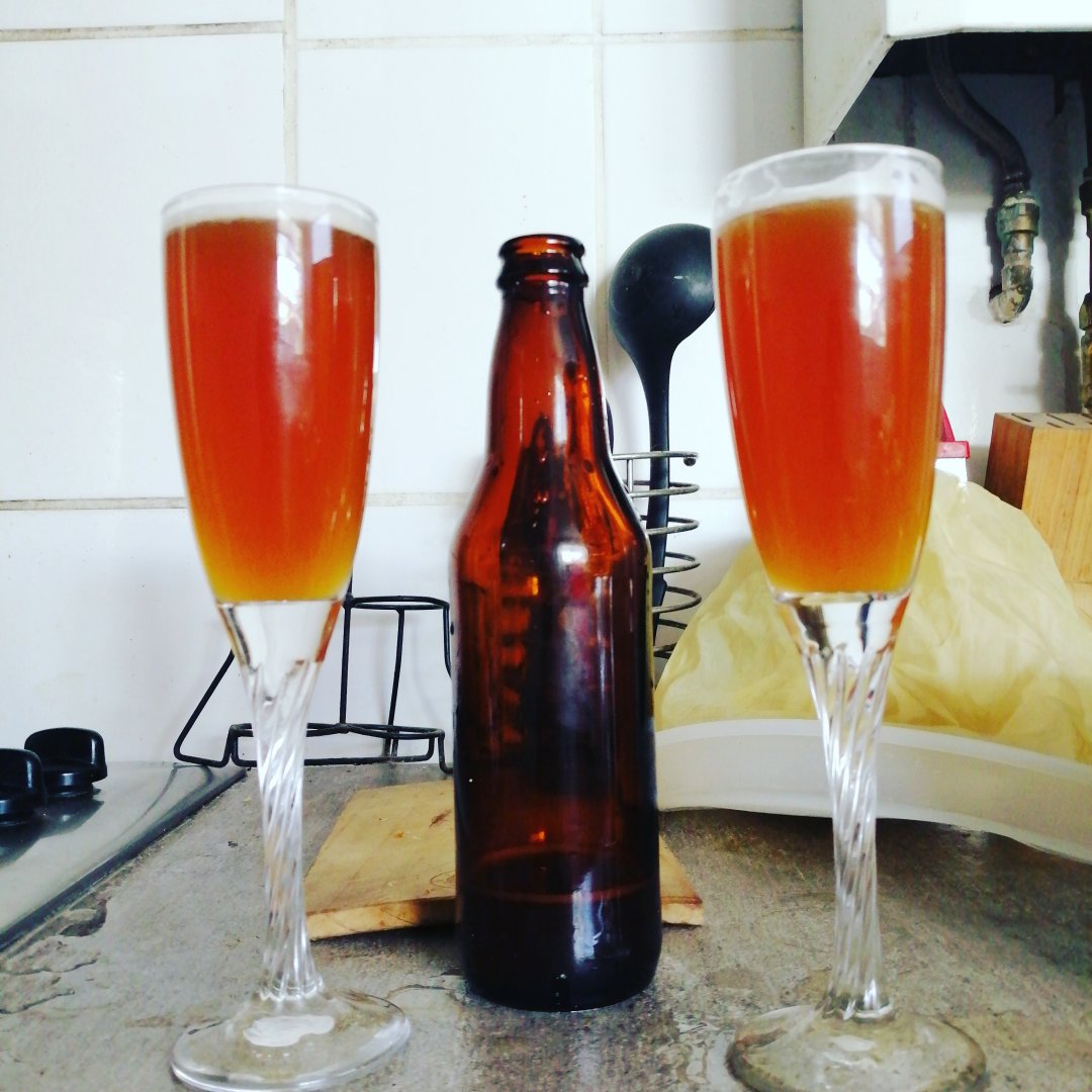 beer recipe photo