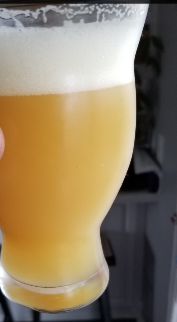 beer recipe photo