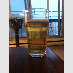 Czech-Pilsner.jpg