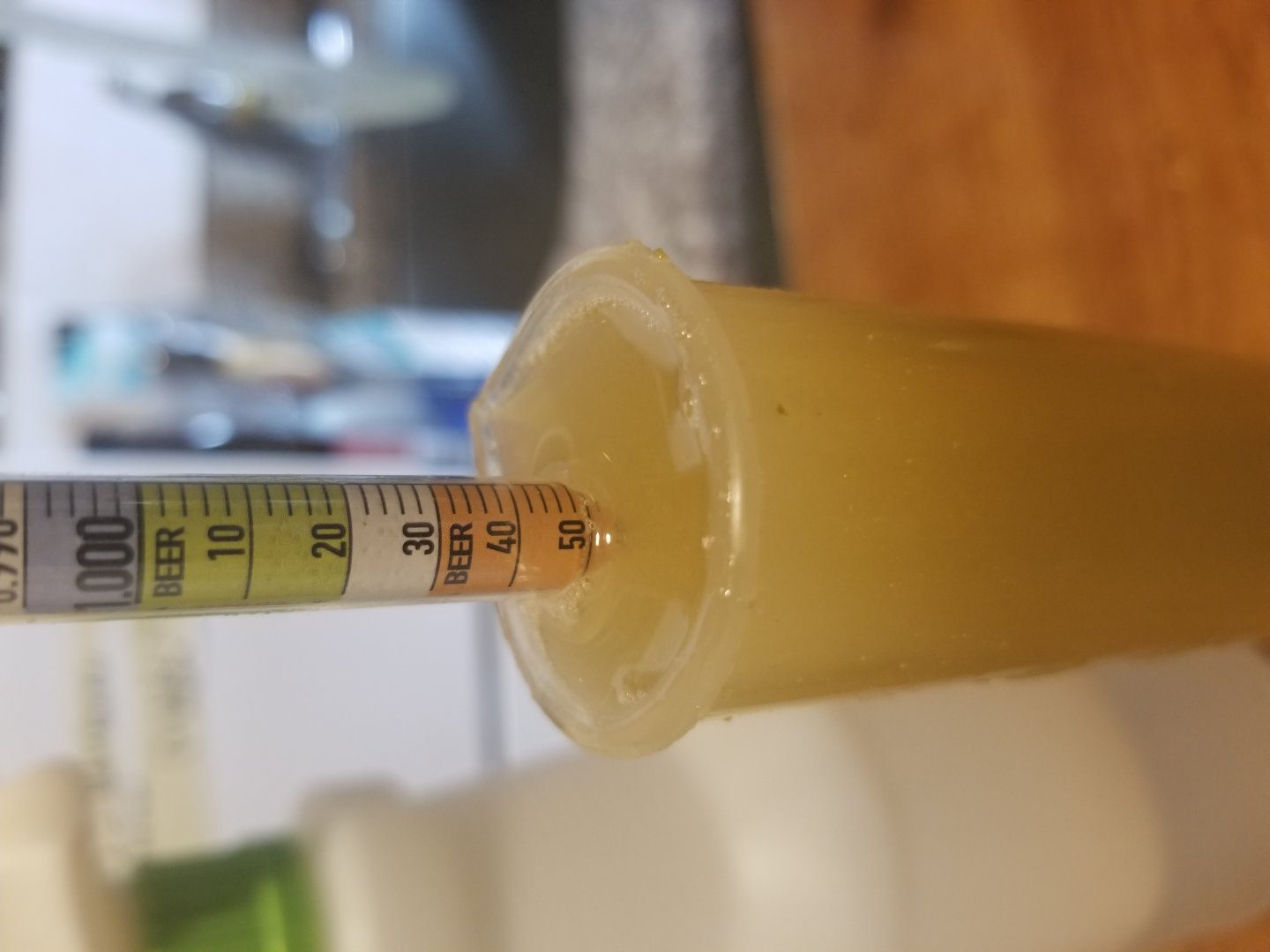 beer recipe photo