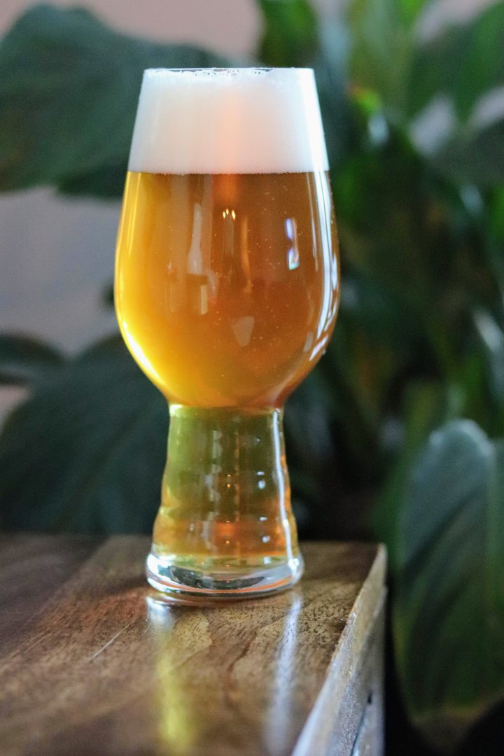 beer recipe photo