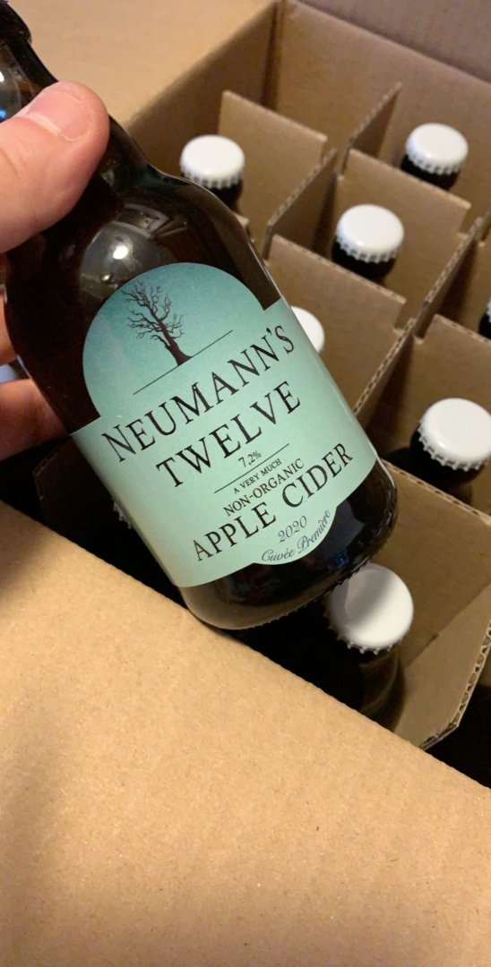 beer recipe photo