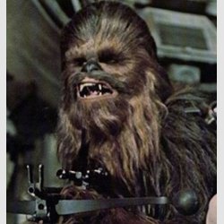 chewbacca-6769.jpg