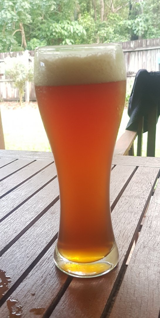 beer recipe photo