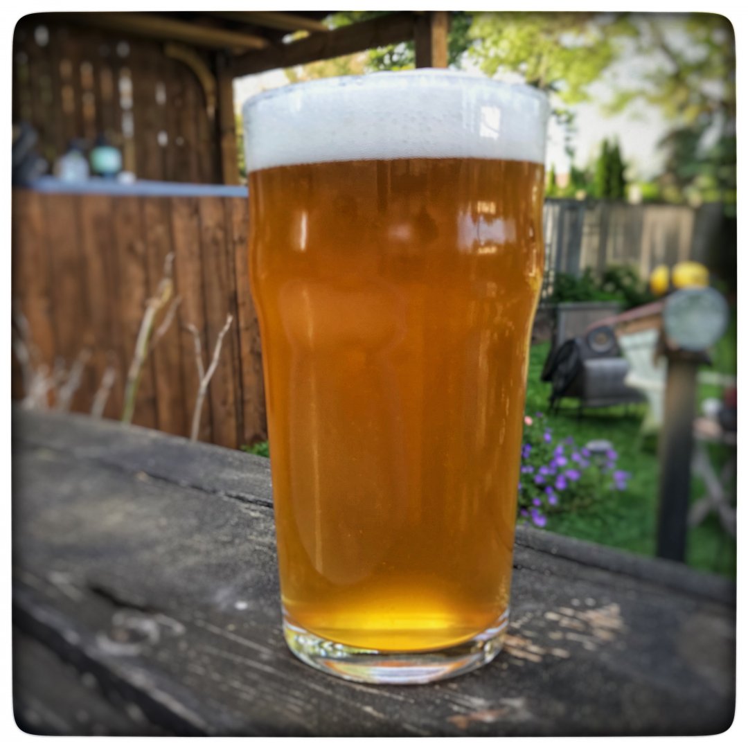 beer recipe photo