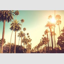 iStock-000032047156-Large-831x560.jpg