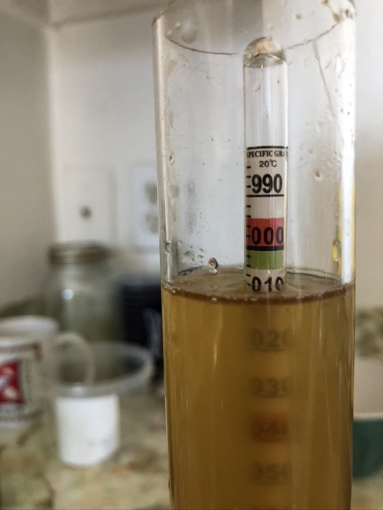 beer recipe photo