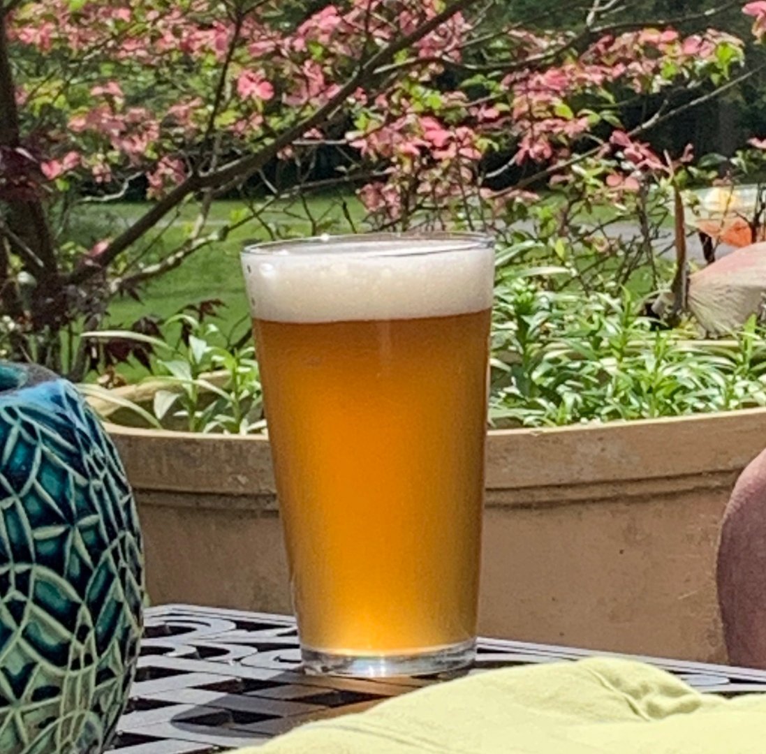 beer recipe photo