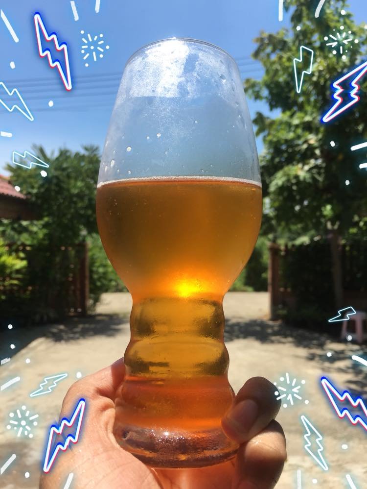 beer recipe photo