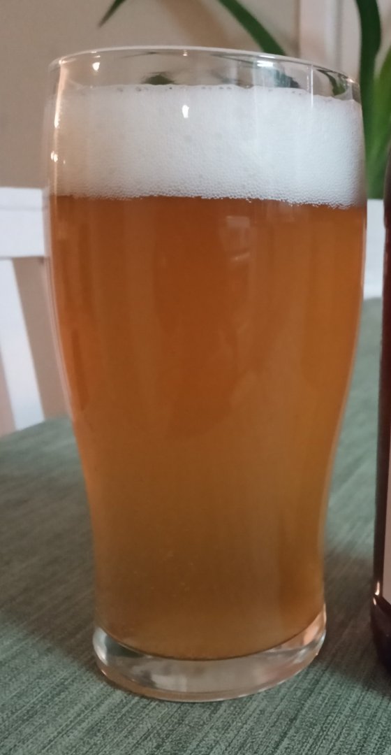 beer recipe photo