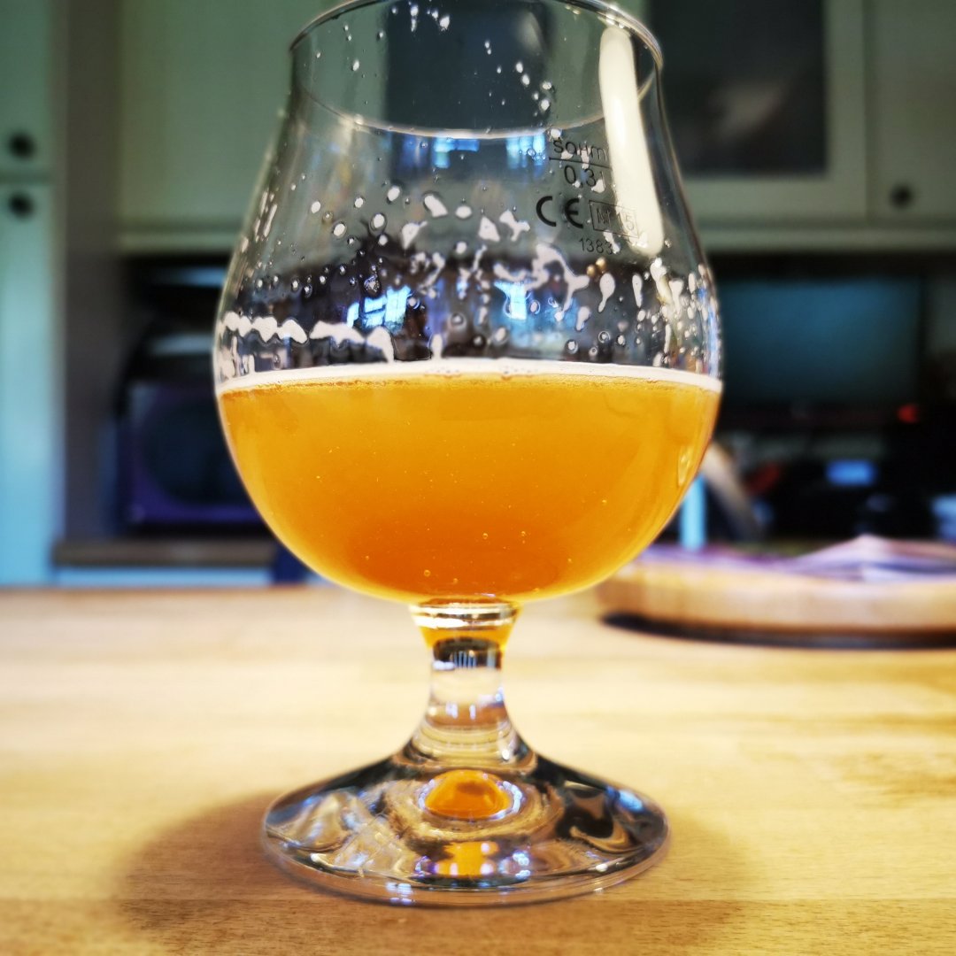 beer recipe photo