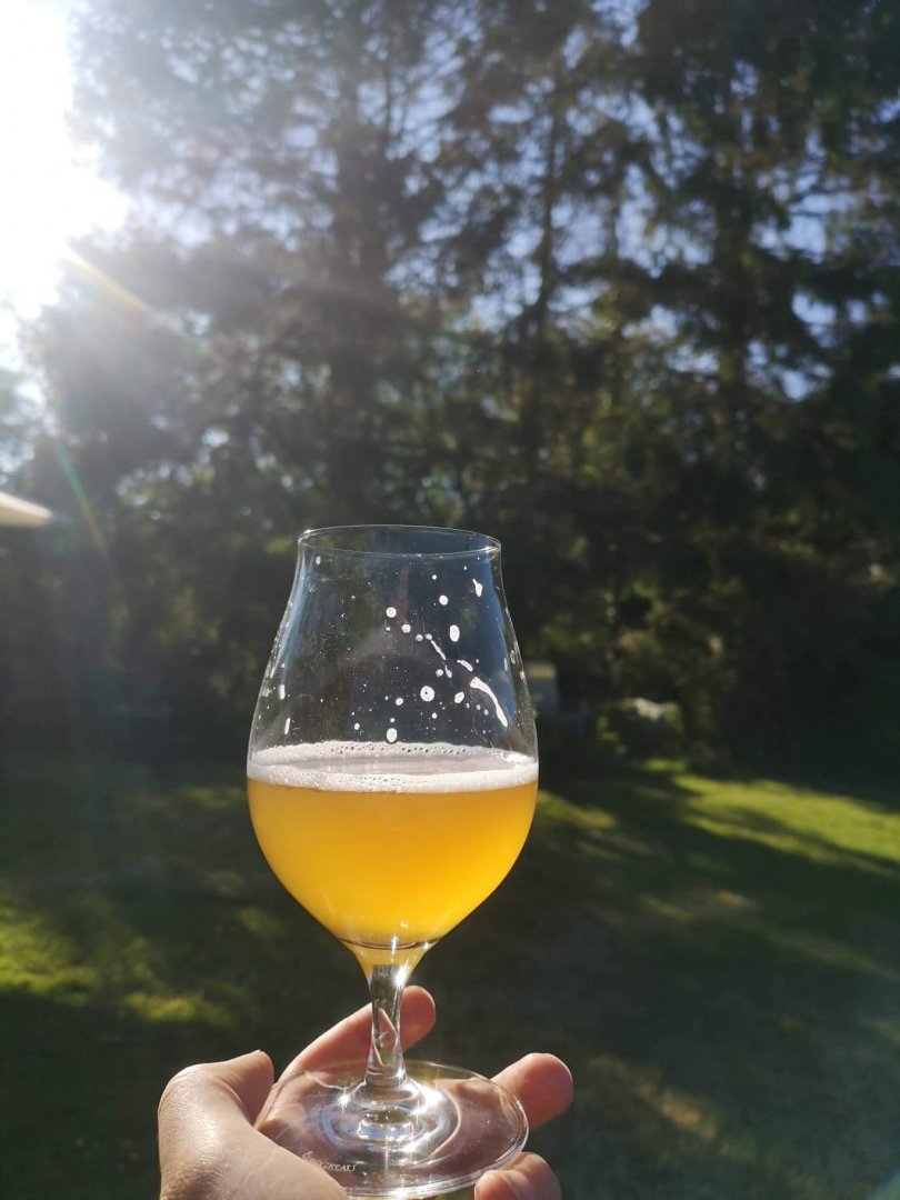 beer recipe photo