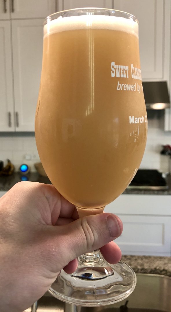 beer recipe photo