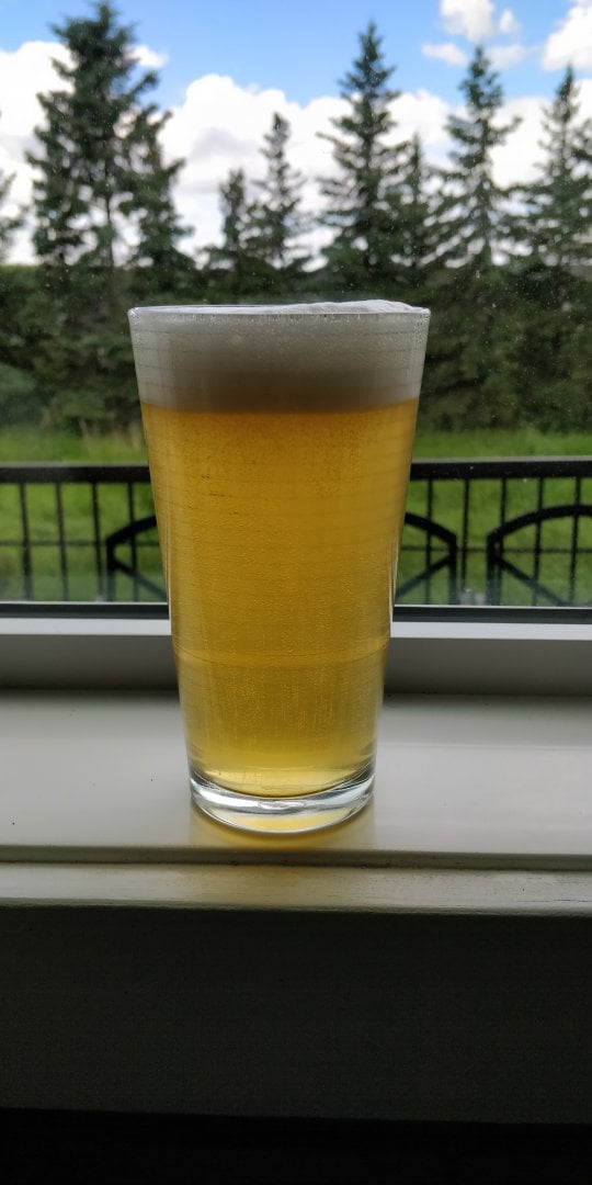beer recipe photo