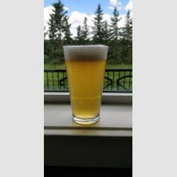 Beer-Blonde-ale.jpg