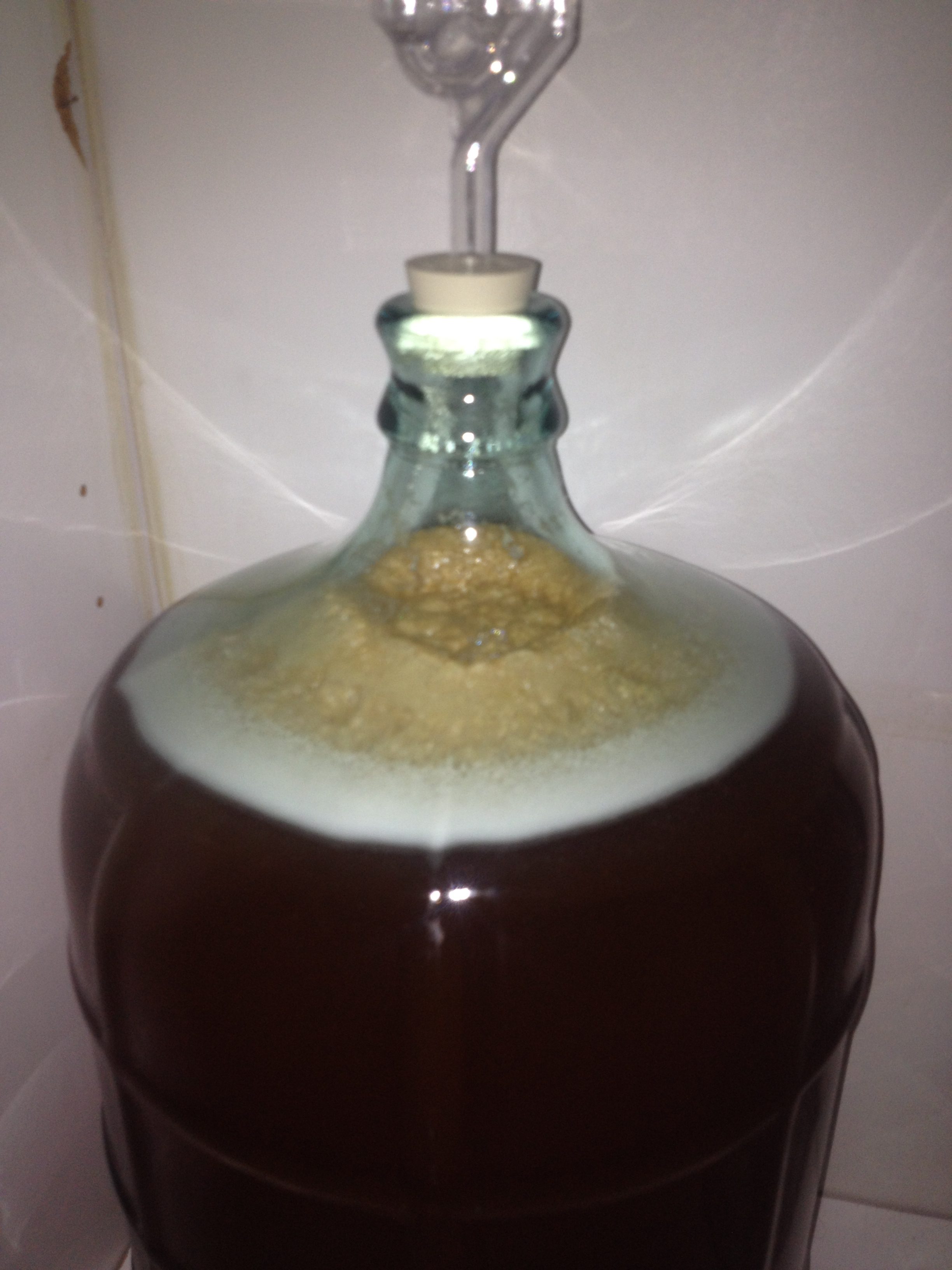 fermenting Brewer's Friend